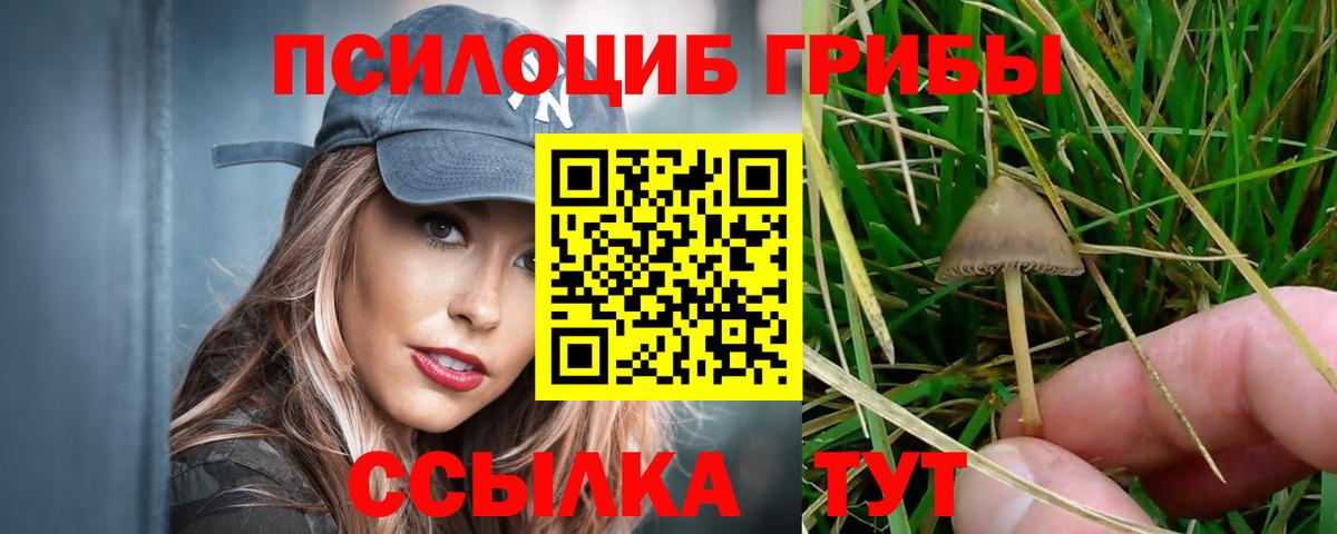 Псилоцибиновые грибы Psilocybine cubensis Калуга