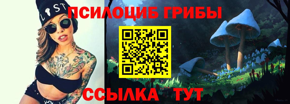 Галлюциногенные грибы Psilocybine cubensis  Галлюциногенные грибы прущие грибы  Вход с VPN  купить наркоту  Калуга 